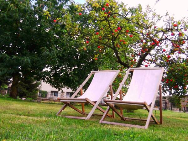 ,,,sad jesienią ,,,