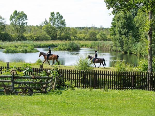 Jeźdźcy nad stawem