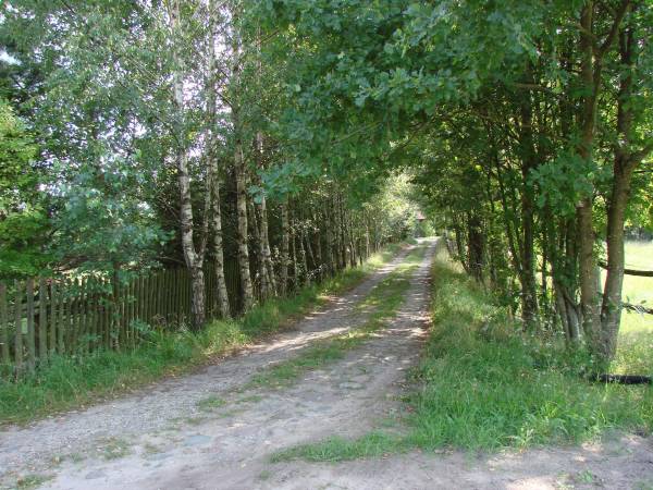 Droga dojazdowa do siedliska