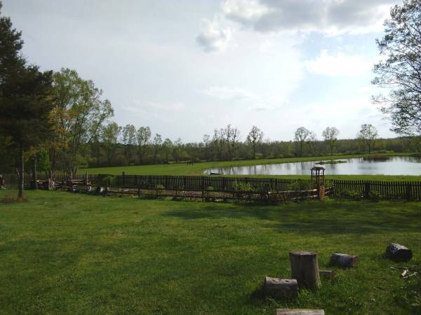 Staw i rozległe pastwisko dla koni.