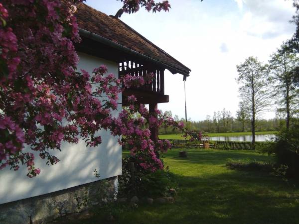 U nas wszędzie kwiaty