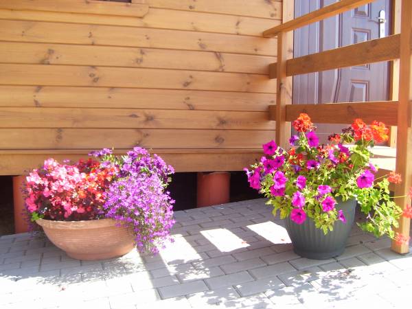 Domki Letniskowe Muszelka