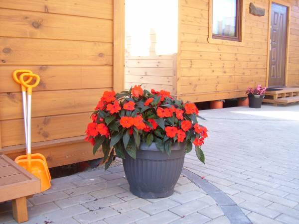 Domki Letniskowe Muszelka