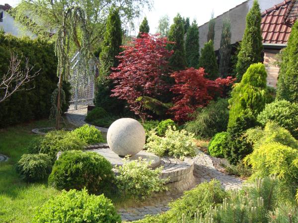 Kolejne zdjęcie ogrodu 