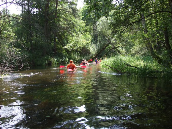 spływ kajakowy