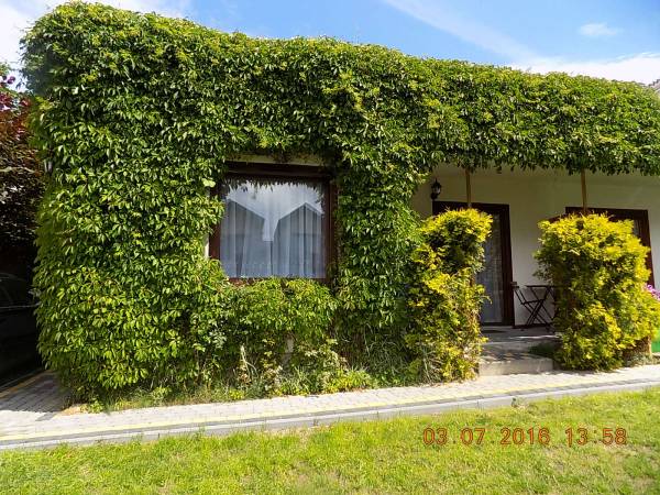 Biały domek na tej samej posesji