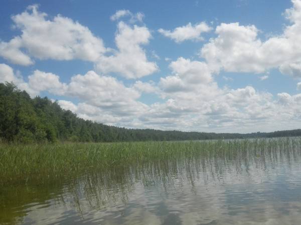 jezioro Choczewskie: czyste, ciepłe i ciche..