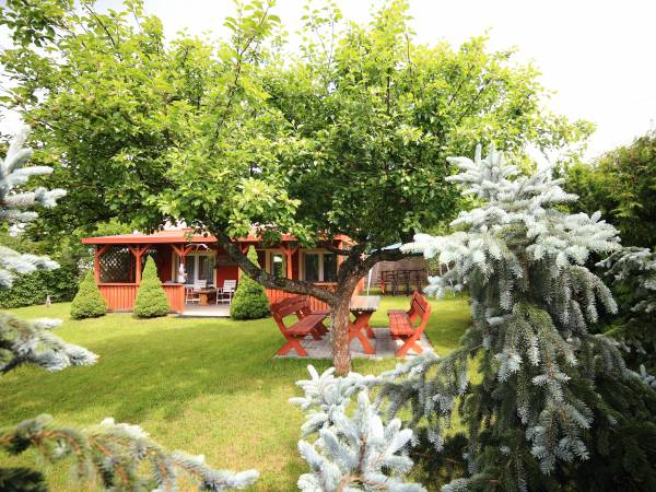 Domek na samodzielnej działce 500 m. - Ogrodzony siatką i wysokimi iglakami