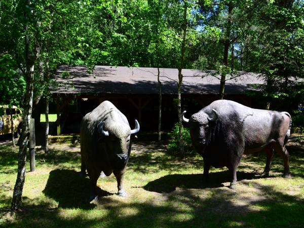 Ośrodek Wczasowy Bosman