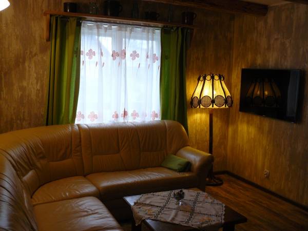 Salon z rozkładanym narożnikiem skórzanym