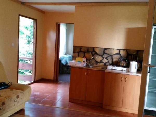 Salon z aneksem kuchennym