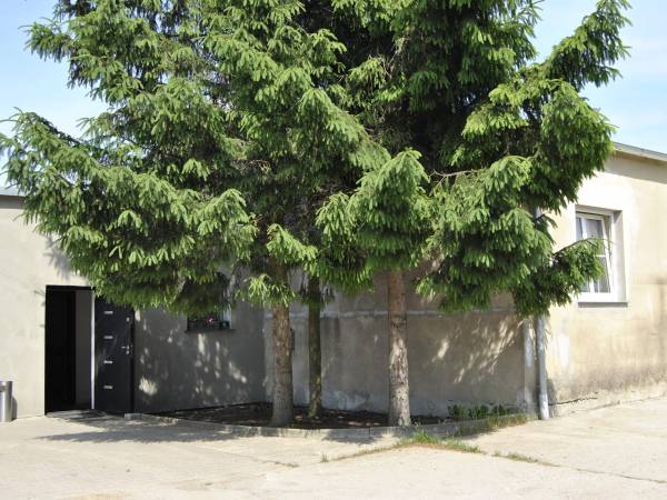 Noclegi Zielony Zakątek