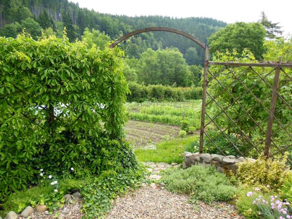 Przy domu ogród ekologiczny