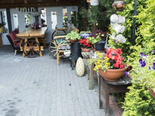 Pokoje do wynajęcia w Barcinie
PANCHO