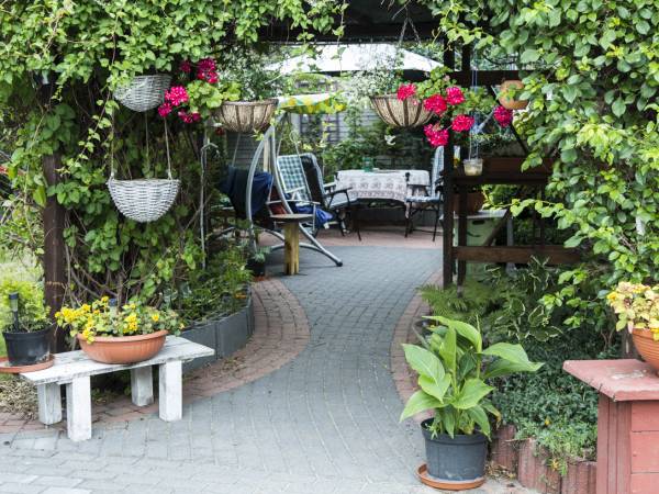 Pokoje do wynajęcia w Barcinie
PANCHO