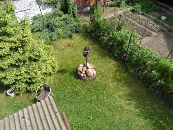 Widok z tarasu na ogród.