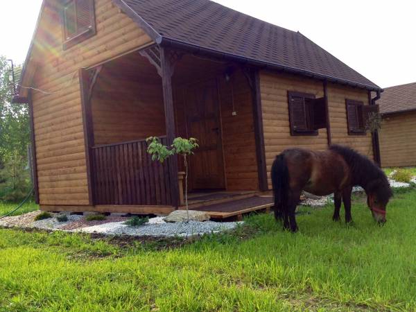 Domek C i korzystająca ze słońca Basia