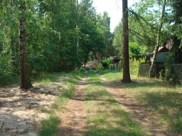 Domki Letniskowe Morena