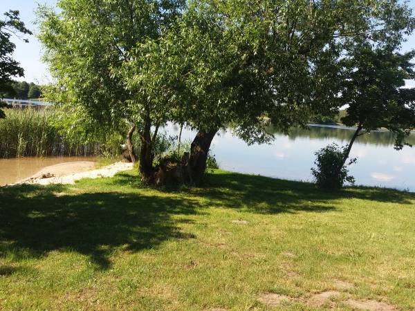 cypelek na naszej plaży z którego widać całe jezioro to jedyne mejsce nad tym jeziorem