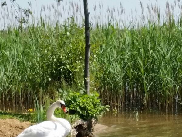 Agroturystyka U Jadwigi