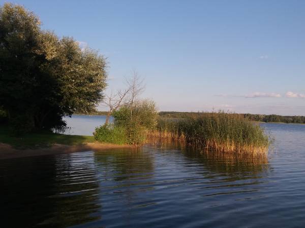 Widok z plaży