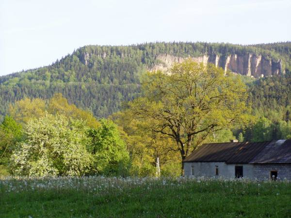 Widok z okna sypialni