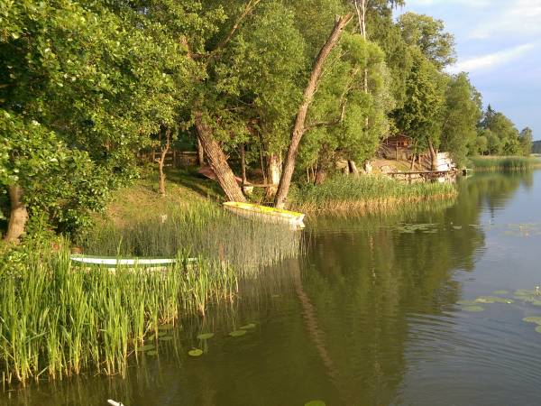 Dom Do Wynajęcia ''Ostoja''