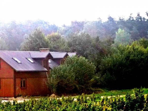 otoczenie pensjonatu