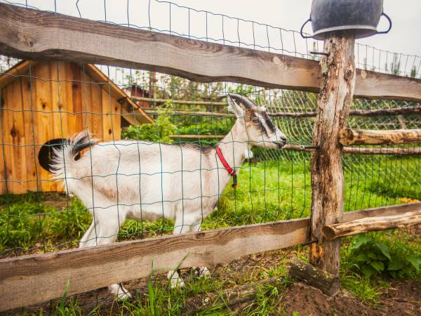 Agroturystyka Nad Bugiem
