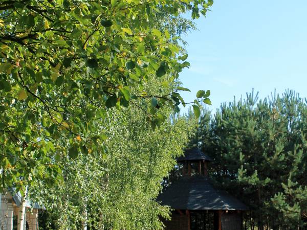 miejsce do grillowania