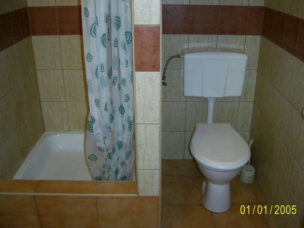 jedna z łazienek (w każdym pokoju znajduje się łazienka)