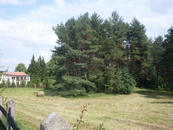 Idealne miejsce dla rodzin z dziećmi i dla starszych chcących być 5 minut od cywilizacji.