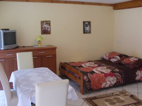 kolejne zdj. apart. na parterze.