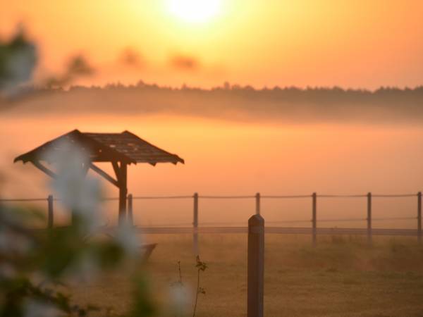 Siedlisko Poleski Zakątek Zagłębocze