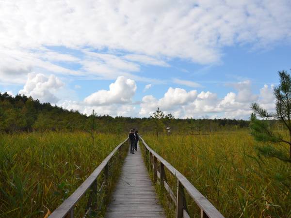 Siedlisko Poleski Zakątek Zagłębocze