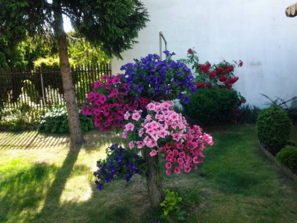 Pokoje Gościnne Anna