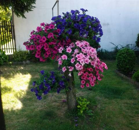 Pokoje Gościnne Anna