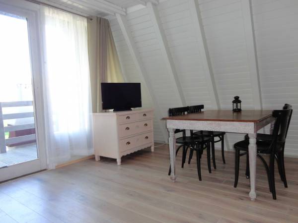 Tramp - salonik z TV