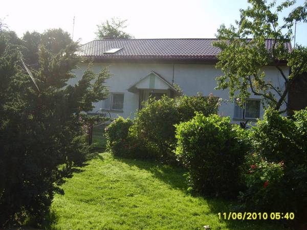 Piękna, relaksująca zieleń...