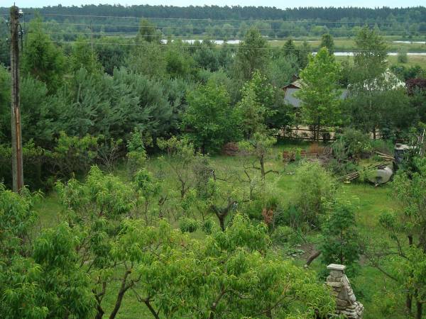 Widok z okna na jeziora i Puszczę Zielonka