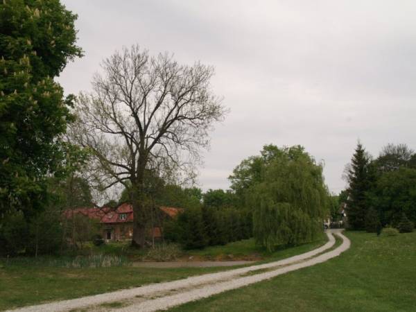 Droga przez podwórko.