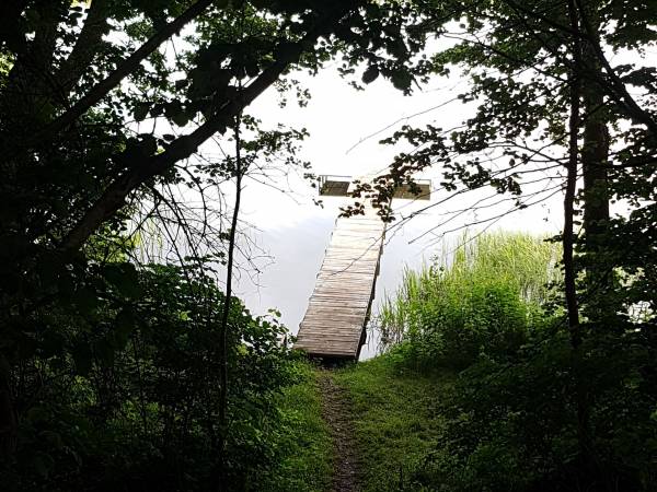 Zejście z działki do jeziora