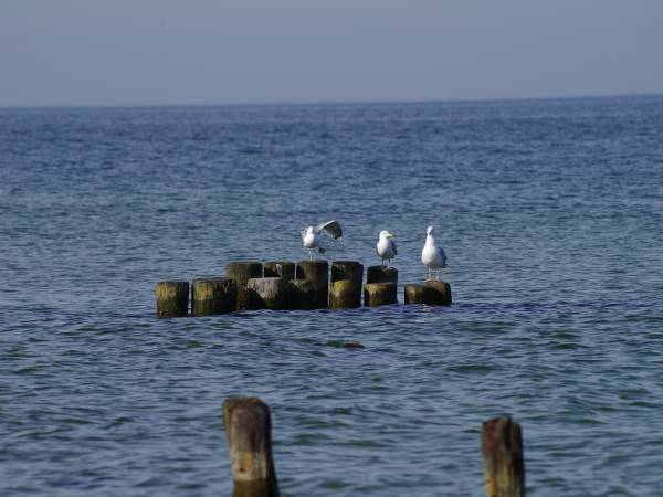 Baltic Bay