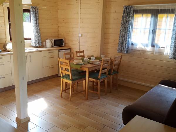 Salon z aneksem kuchennym