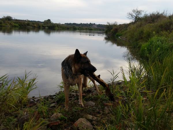 Motelik Pod Kukułką
