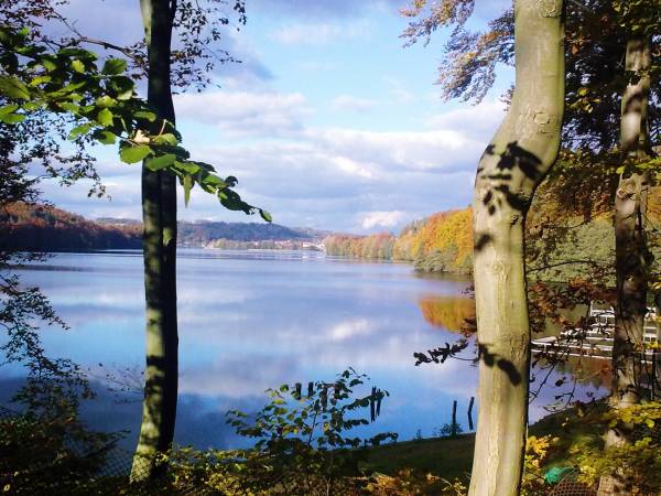 Jesienne Jezioro Ostrzyckie