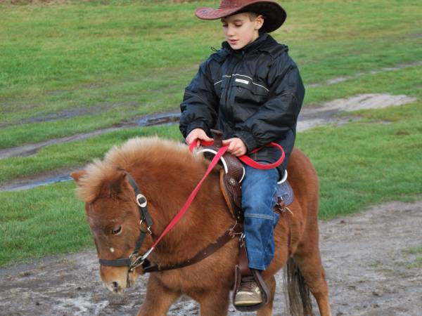 Dla dzieci przejażdżki w siodle.