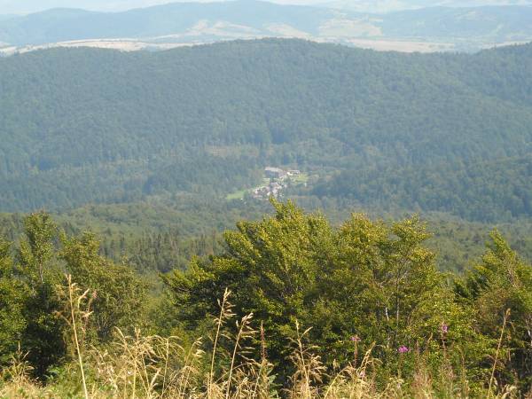 Widok na Muczne z Bukowego Berda