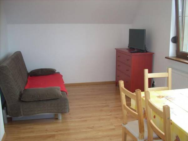 Apartament nr 2 - salon z aneksem kuchennym