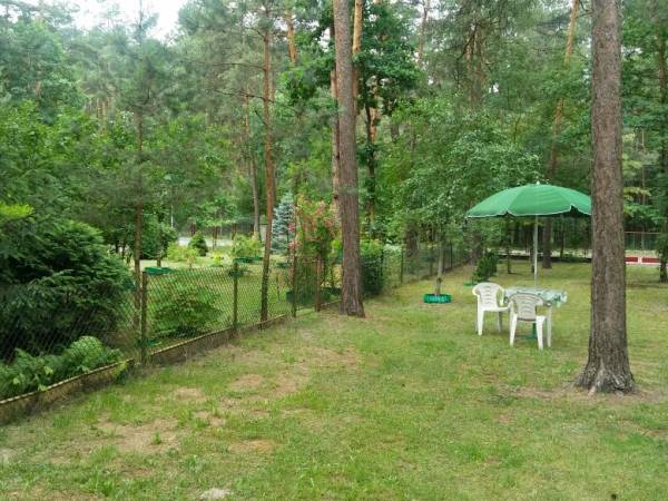 Domek Letniskowy i Pokoje Gościnne u Basi - Mistrz Agro 2019